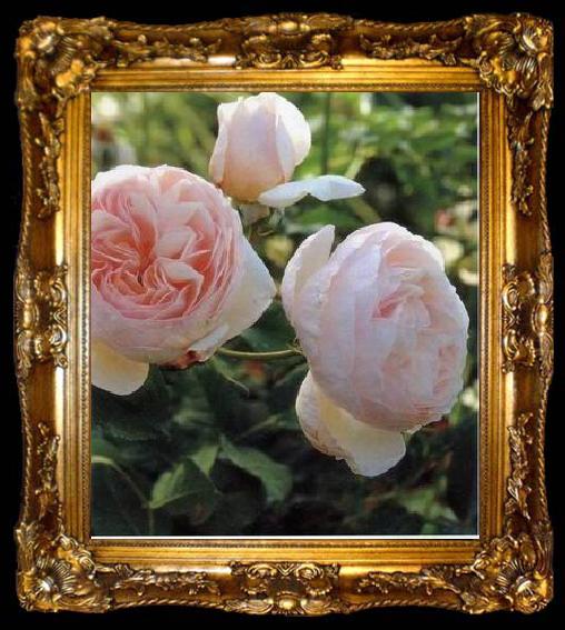framed  unknow artist Still life floral, all kinds of reality flowers oil painting  374, ta009-2